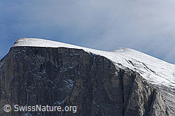 F072488: Üssers Barrhorn