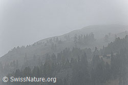 F072530: Schneefall und Nebel