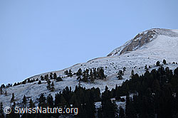 F072533: Kleines Fülhorn am frühen Morgen