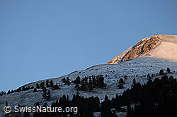 F072537: Morgenstimmung mit Morgenlicht auf Berggipfel