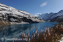 F072710: Lac de Moiry im Herbst