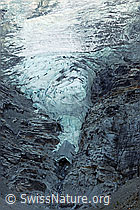 Foto: Zunge des Riedgletschers