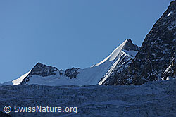 Foto: Stecknadelhorn, Hohberghorn und Riedgletscher