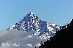 F072777: Bietschhorn