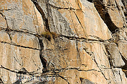 F072795: Felspartie mit Rissen