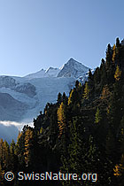 Foto: Nadelhorn, Stecknadelhorn, Hobärghorn und Dirruhorn (Mischabel)