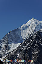 Foto: Weisshorn und Bisgletscher