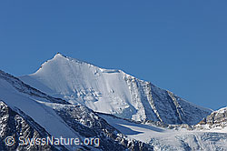 Foto: Bishorn und Bruneggjoch