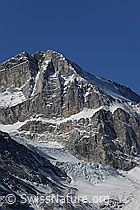 Foto: Üssers Barrhorn und Unter Stelligletscher