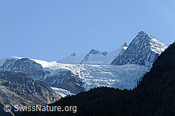 Foto: Riedgletscher vor Mischabel