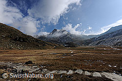F073042: Die Weite eines herbstlichen Hochtals