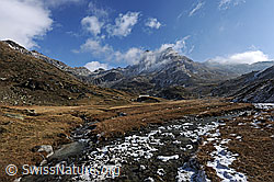 F073047: Zusammenfluss von Bergbächen auf Hochebene
