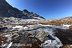 F073054: Gefrorener Wasserlauf in herbstlicher Hochebene