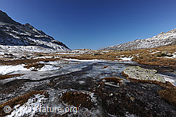 F073055: Eisschicht über Wasserlauf