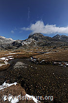 F073061: Flaches Gelände mit Wasserlauf
