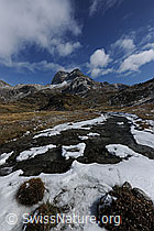 F073106: Binna mit Schneeresten am Ufer