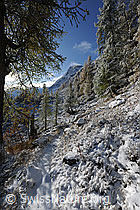 F073142: Neuschnee auf Bergweg