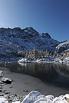 F073175: Spiegelung im Eis