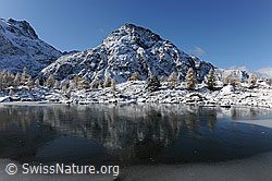 F073194: Stimmungsbild: Spiegelung in gefrorenem See