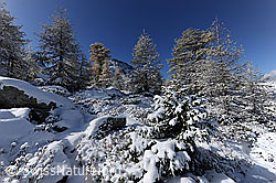 F073202: Erster Schnee