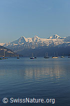 F073324: Abendstimmung am Thunersee