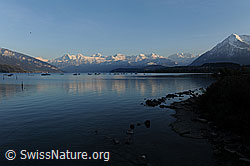 F073330: Abendstimmung am Thunersee