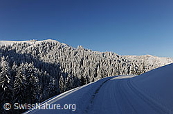 F073742: Licht und Schatten in Schneelandschaft