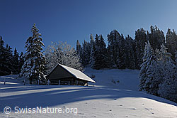 F073755: Stall in Winterlandschaft