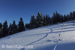 F073762: Schneefläche