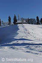 F073781: Geländerücken mit Schneeverwehung