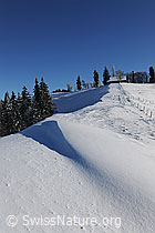 F073795: Schnee auf der Alp