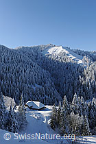 F073804: Bauernhof in Waldlandschaft