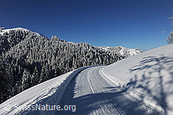 F073811: Winterlandschaft und Strasse
