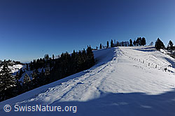 F073961: Schneebedeckte Krete mit Zaun und Wegspur