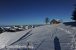 F073964: Stall in Winterlandschaft