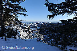F073965: Winterlandschaft Luzerner Hinterland