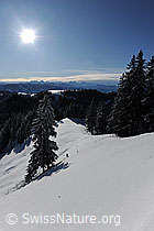 F073988: Sonnige Winterlandschaft