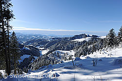 F073992: Emmentaler Hügelland mit Schnee
