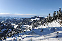 F073995: Winterbild Emmental