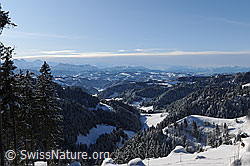 F073997: Schnee in Emmentaler Hügellandschaft