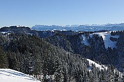 F074003: Winterlicher Tannenwald im Trub, Emmental