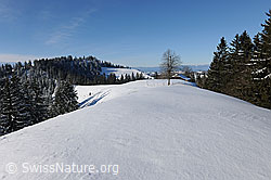 F074012: Unberührte Schneedecke in ruhiger Winterlandschaft