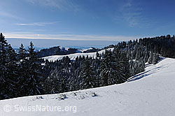 F074017: Schnee im Emmental