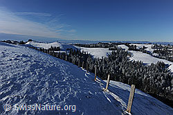 F074026: Winterbild: Emmentaler Hügelzüge mit verschneiten Wäldern