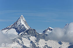 Photo: Finsteraarhorn
