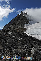 Foto: Poncione di Cassina Baggio