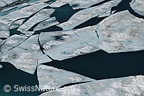 F076865: Eisschollen