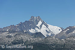 F076906: Hugihorn, Klein Latueraarhorn, Lauteraarhorn, Schreckhorn