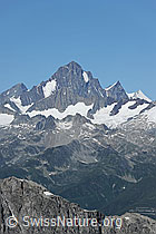 F076914: Finsteraarhorn und Agassizhorn