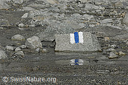 F076995: Bergwanderweg